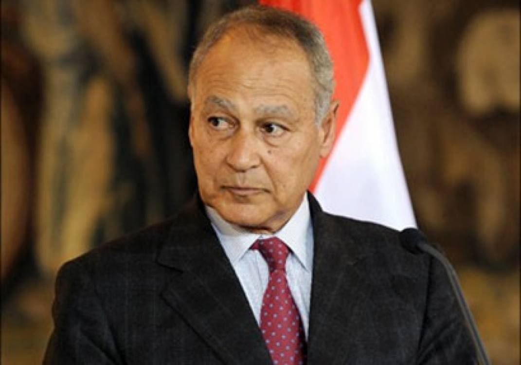 ابو الغيط